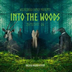 Delic Dj-set @ Into the woods 25.11.2017