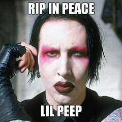 aktinomycety, řasy, kvasinky, bakterie, roztoči, červi, chvostoskoci...