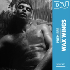 Premiere: Wax Wings 'Gravedance'