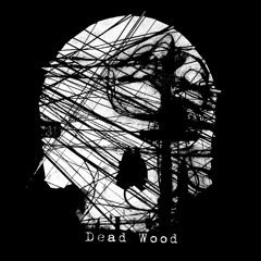 deadwood - My Brain (2methyl Remix)