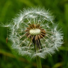 Haval al hazman (Hebrew)