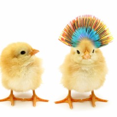 Abyss live @ Hafenbar 5. April 2012  Abyss