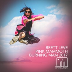 Brett Love - Pink Mammoth - Burning Man 2017