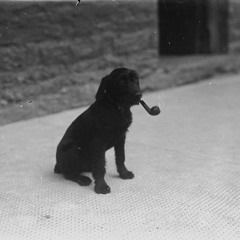 Just some music i like.