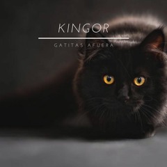 Kingor - Las Gatitas Afuera