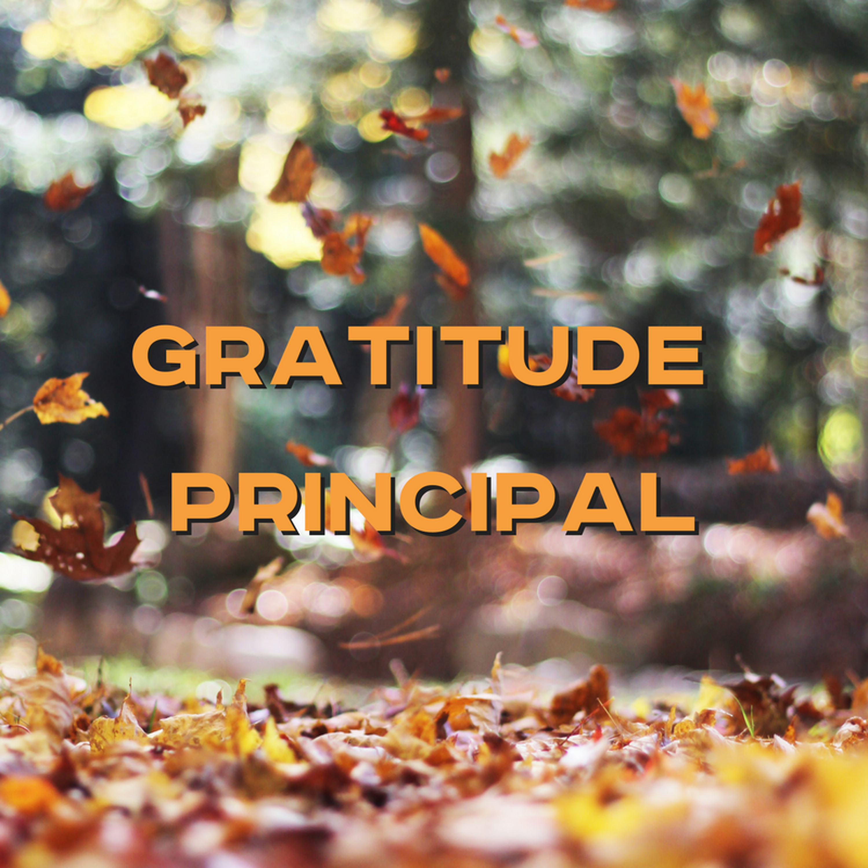 11-26-17a - Josh Pennington - The Gratitude Principal episode artwork