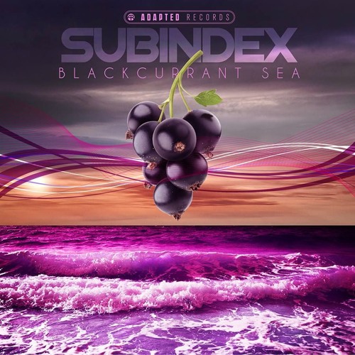 Subindex - Blackcurrant Sea