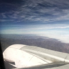 fly