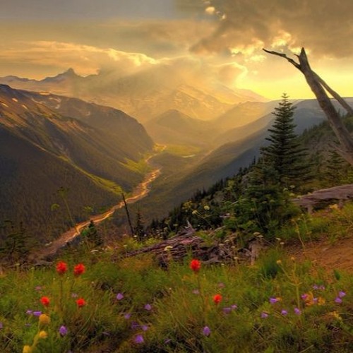 Folk Background Musiс