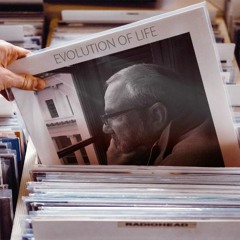 Evolution Of Life