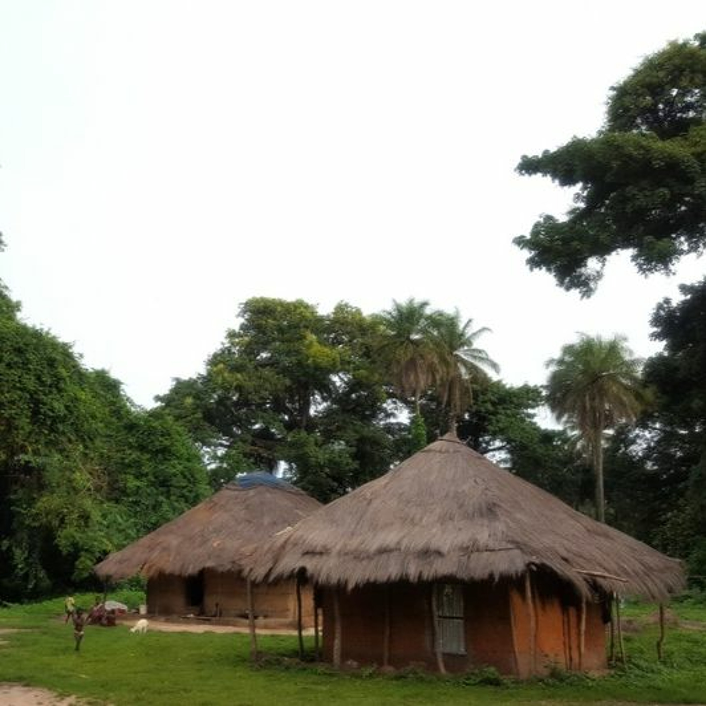 LSHTM