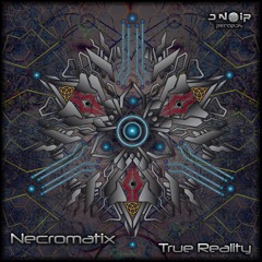 Necromatix - True Reality