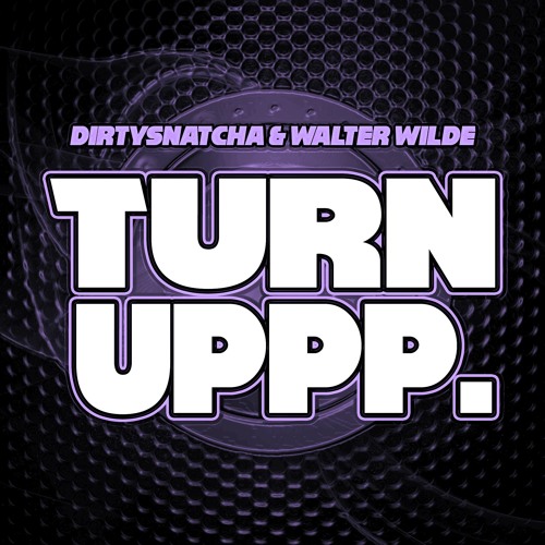 DirtySnatcha & Walter Wilde - Turn Uppp