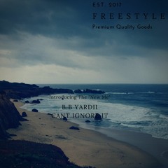 Cant Ignore It Freestyle