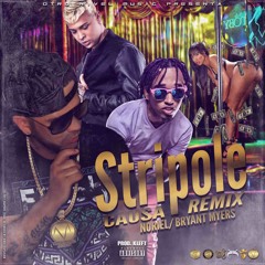 Causa Ft. Noriel & Bryant Myers – StriPole Remix