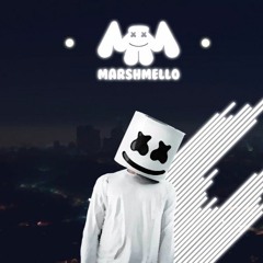 Marshmello ft. Avicii & Hardwell - Before You Go