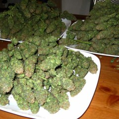 21 Savage Freestyle " Money Convo" x Bagz