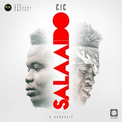 WhatsApp Audio 2017 - 11 - 26 At 9.22.32 PM