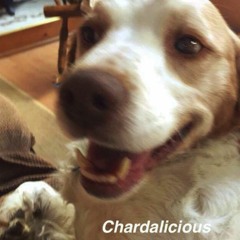 chardalicious (https://cyberchase.bandcamp.com/album/chardalicious)