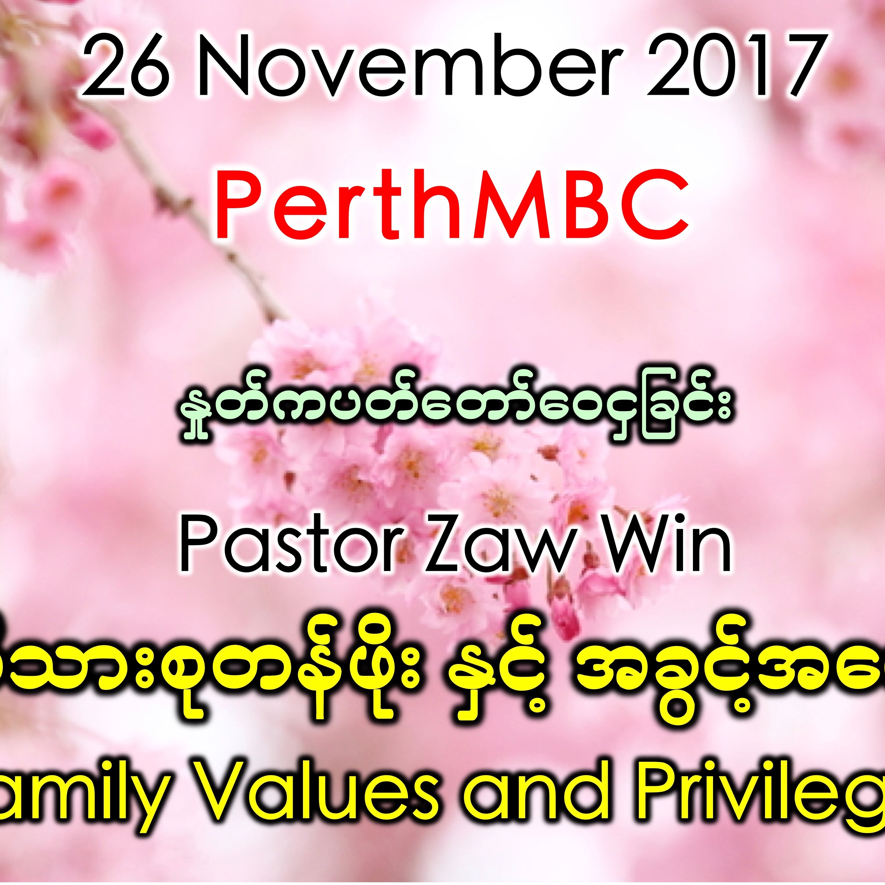Family Values and Privileges episode artwork