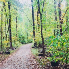 King of Heaven :: Cover (Originally by- Hillsong United)