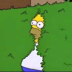 - T O O D I D D I L Y - D O O -