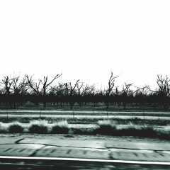 Beneath the Silence