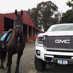 El Jr Del Senor - La Edicion De Culiacan
