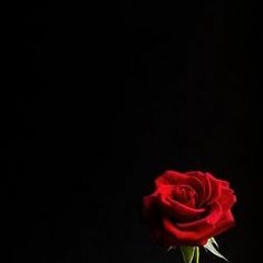 ALL tO YoU
