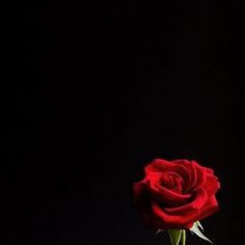 ALL tO YoU