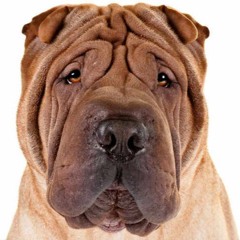 got bored so I made a mix