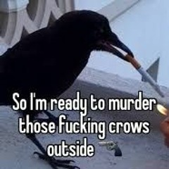FUCKING CROWS