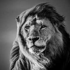 YAH is great (draft)