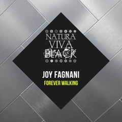 Joy Fagnani - Attitude (Original Mix)