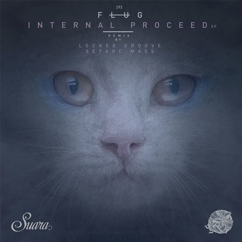 [SUARA293] Flug - Internal Proceed (Original Mix) Snippet