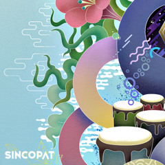 PREMIERE : Niko Schwind - Acid (Darlyn Vlys Remix) [Sincopat]