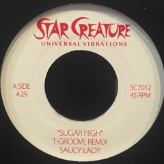 Saucy Lady - I'm Ready (T-Groove Disco Mix)(back again on 7")