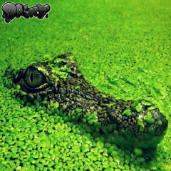 Interior Crocodile Alligator