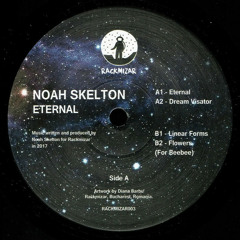 Noah Skelton - Linear Forms