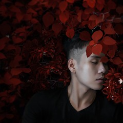 Giá Có Thể Ôm Ai Và ... !