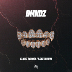 Flight School - DMNDZ (feat. Satya Valli)