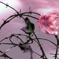 memory garden (intrlde)