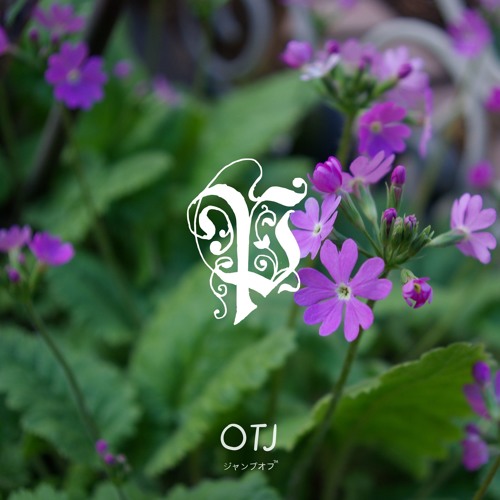 ibrahim - primrose