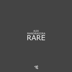 4i20 & Mandragora - Rare (Original Mix)