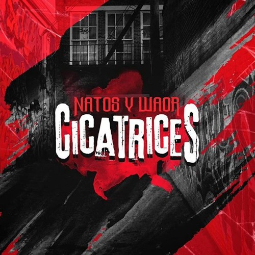 natos y waor- cicatrices