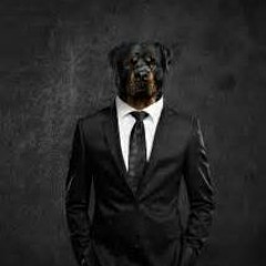 Beniyah Kahan - Dumb Dogs