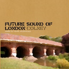 Future Sound of London Colney