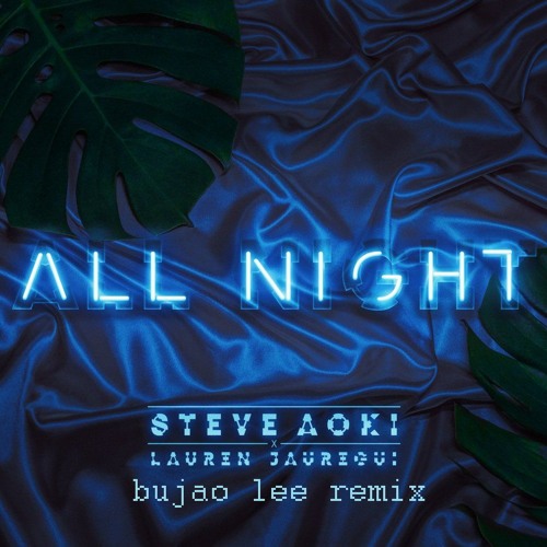 All Night - Steve Aoki x Lauren Jauregui (Remix)