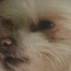 please validate how much time i have spent doing this shit by listening