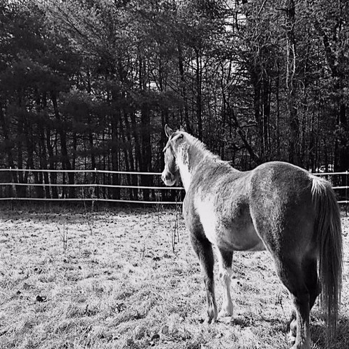 Stream Becky Bawn Listen To Piano Solos Playlist Online For Free On